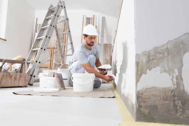 Best Biohazard Mold Removal  in Fenton, MI