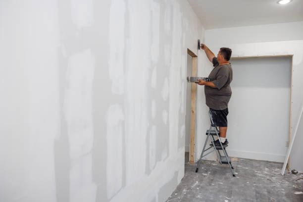 Fenton, MI Mold Removal Company