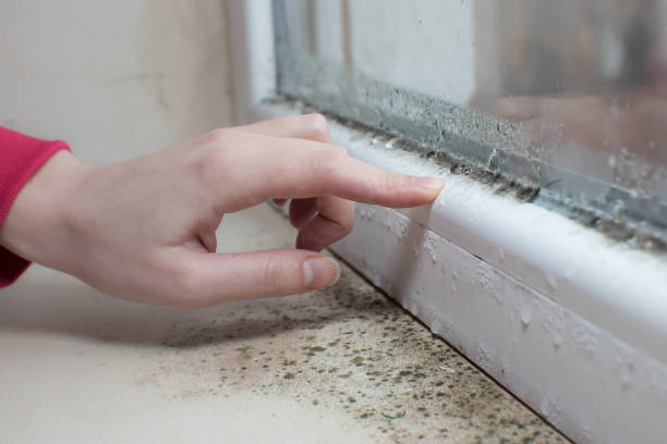Best Indoor Air Quality Assessment  in Fenton, MI