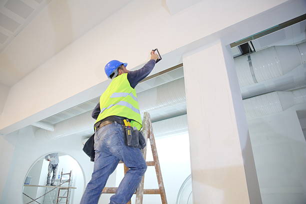 Best Mold Odor Removal Services  in Fenton, MI