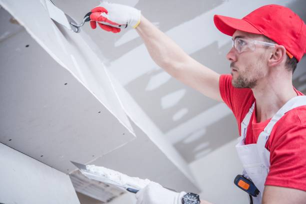 Best Emergency Mold Remediation  in Fenton, MI