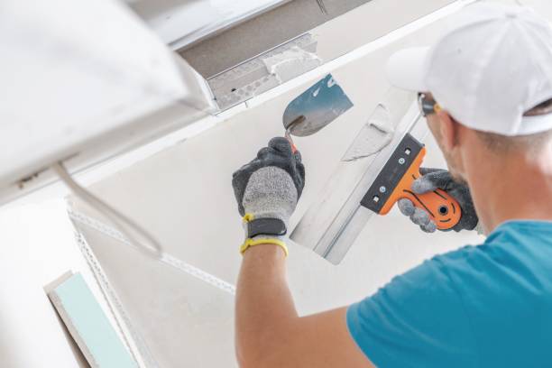Best Commercial Mold Inspection  in Fenton, MI